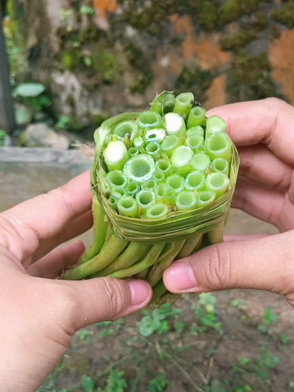 @susmawaati