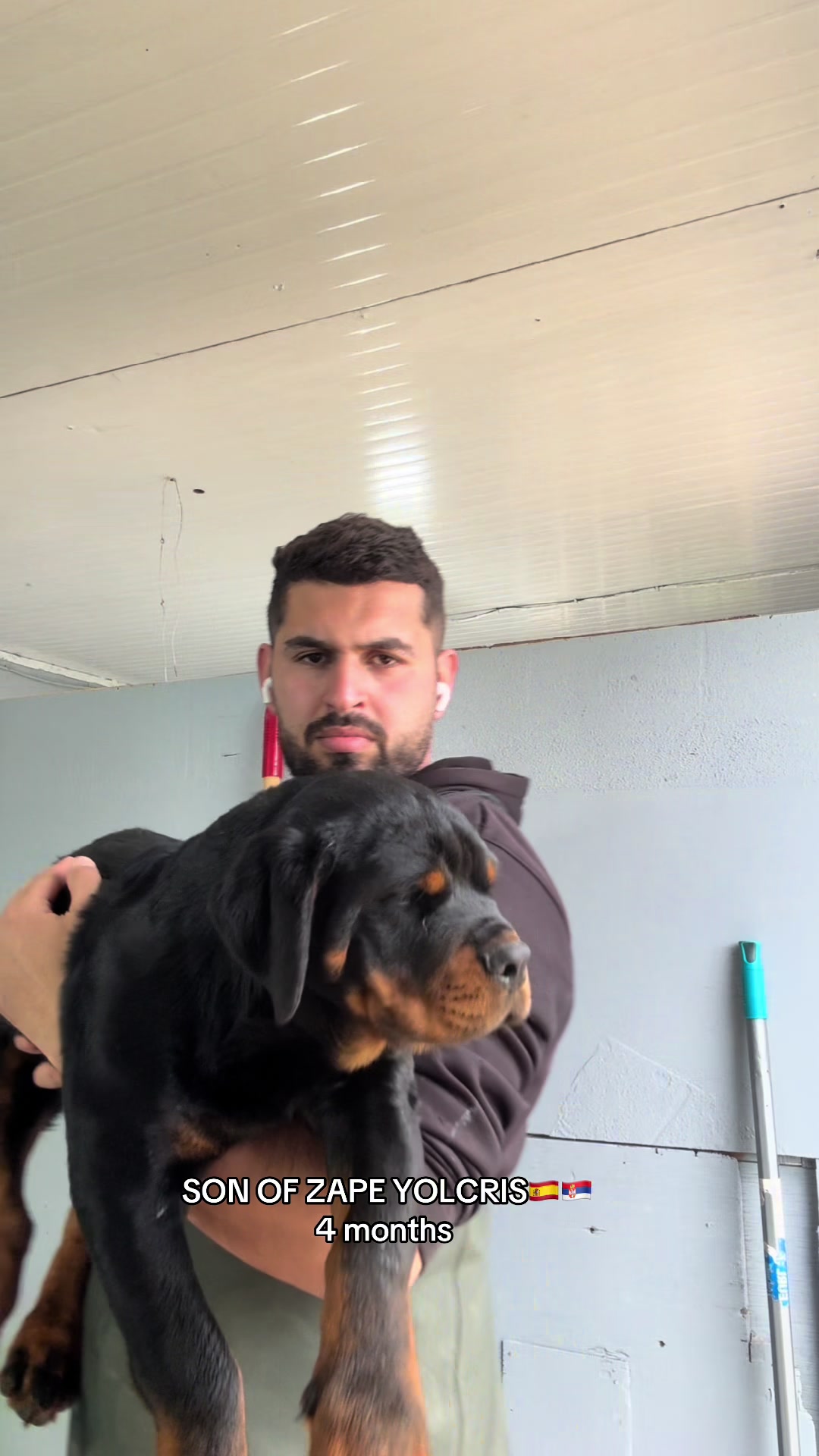 @Marwan Rottweiler-ke