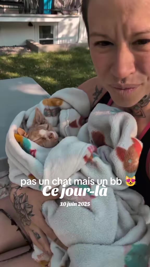 @Amy_dusoleildanstajournee