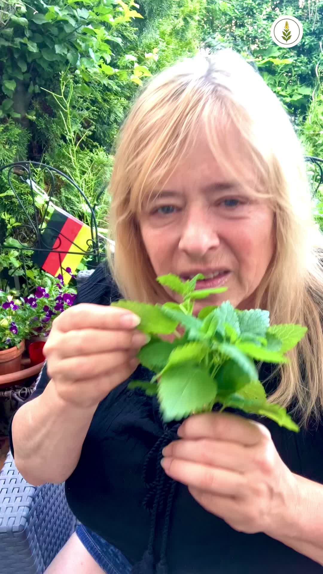 @Birgit Ruder