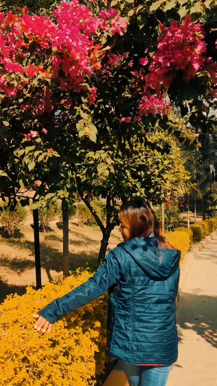 @अध्याय