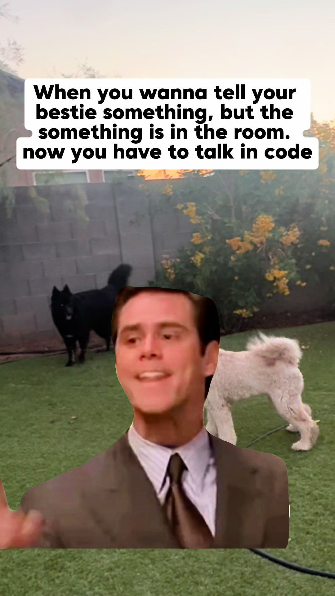@Shepsky Mom
