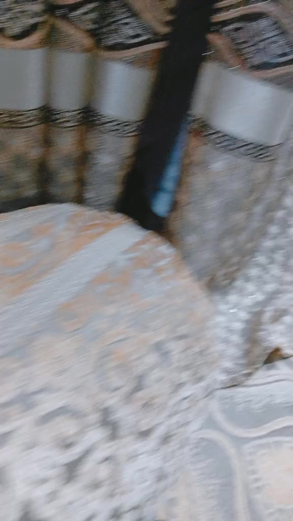 @C̆a𝔱𝔰 𝔴𝔦𝔱𝔥 N̆̈𝔬𝔬r̆̈❤️