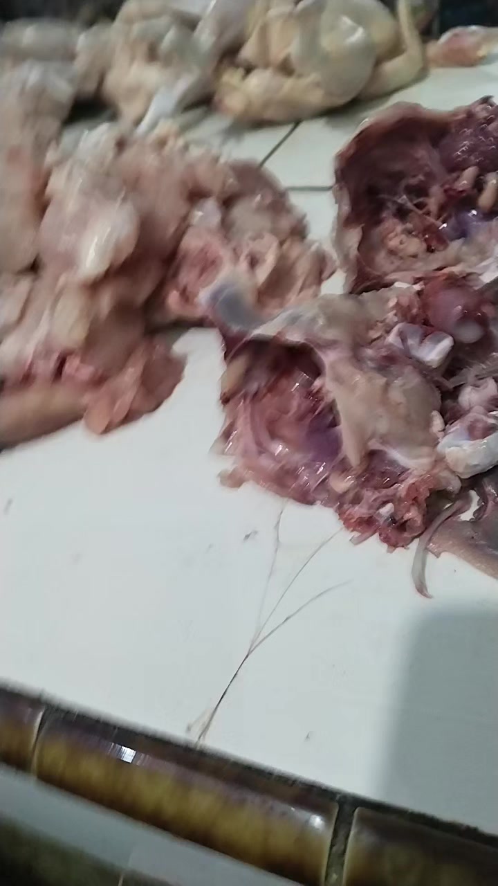@Aji Jaya Aji Jaya