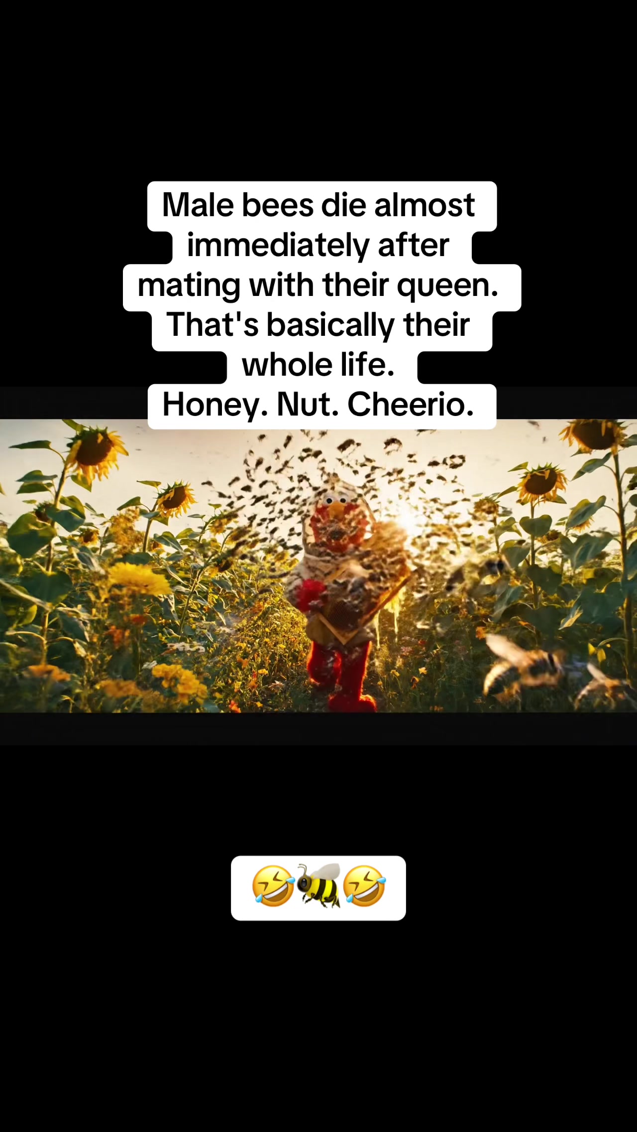 @Gangsta Elmo