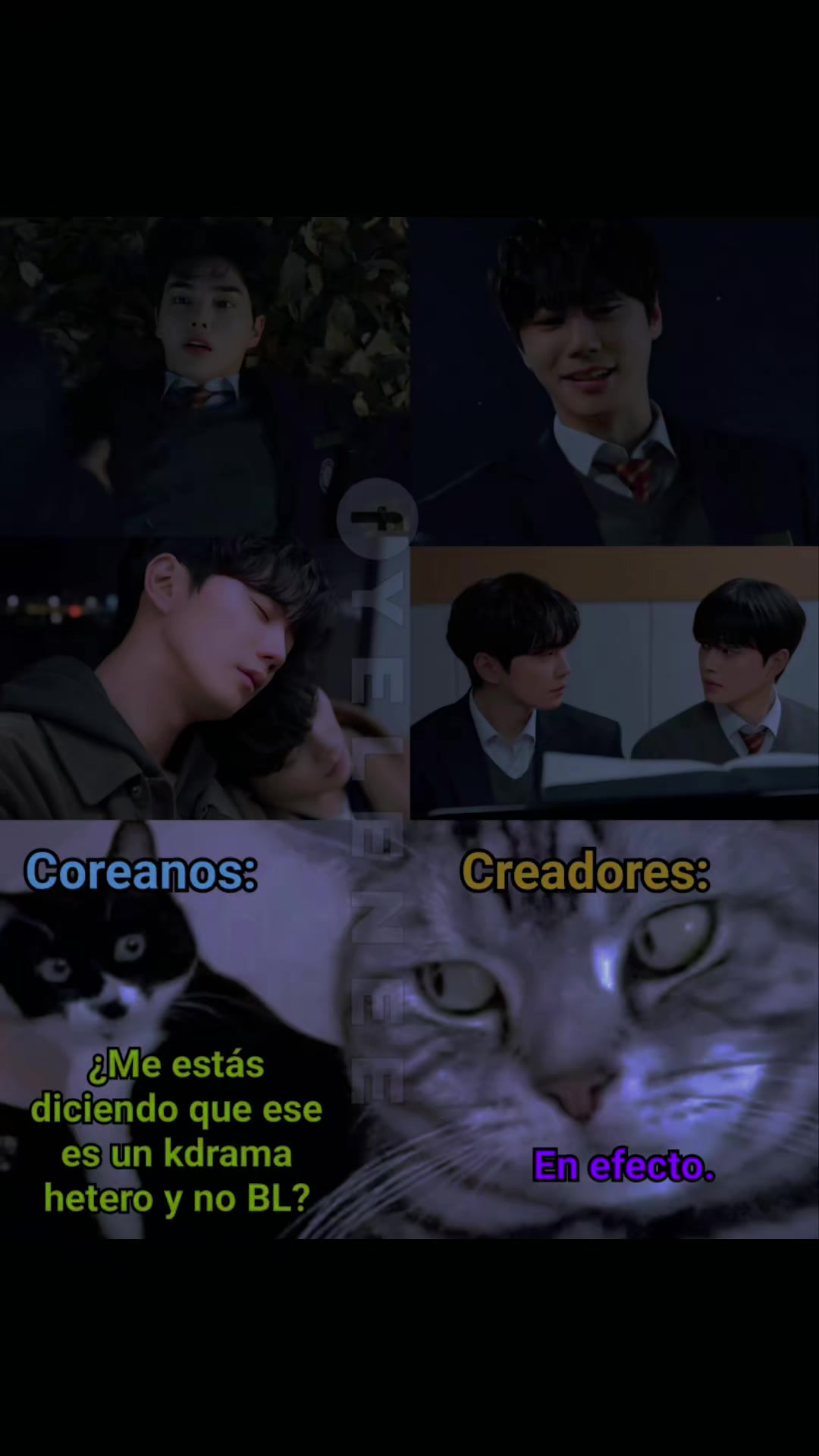 @Bls kdramas lovers👬👫