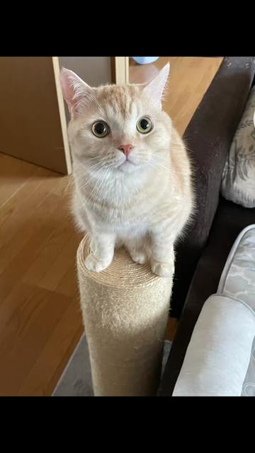 @みなチャン🐈⬛🐈