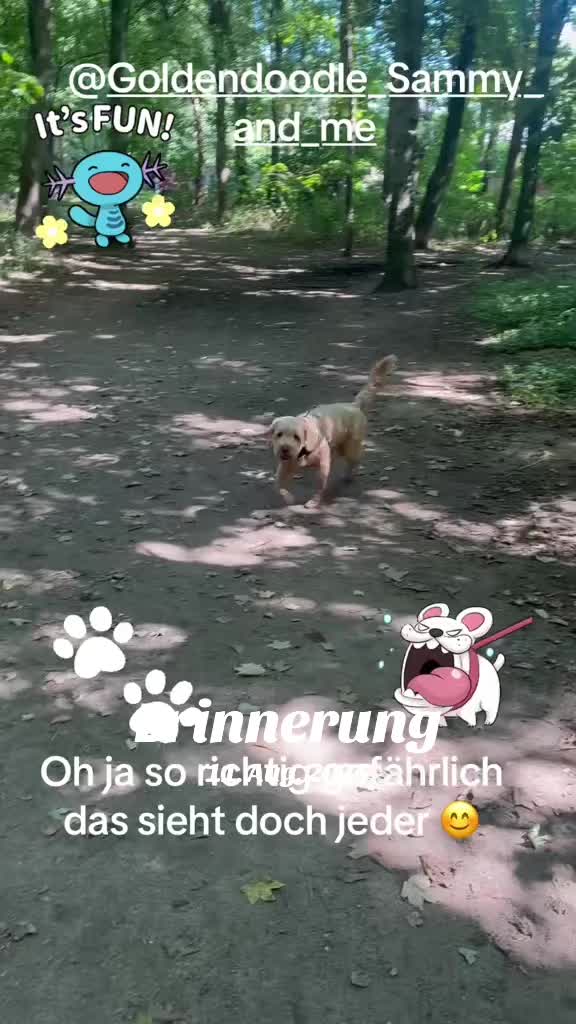 @The_chaos_frenchi