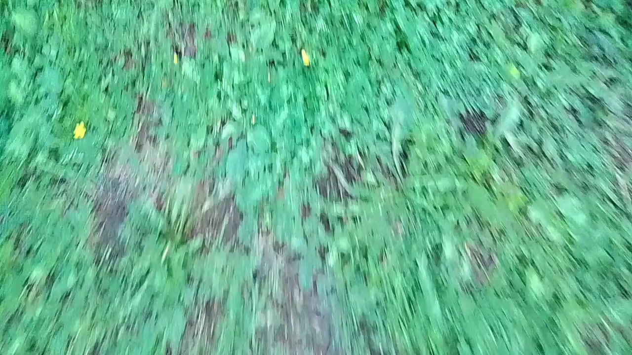 @КiЛЬ
