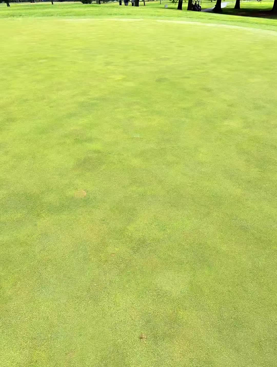 @Schmidtstl