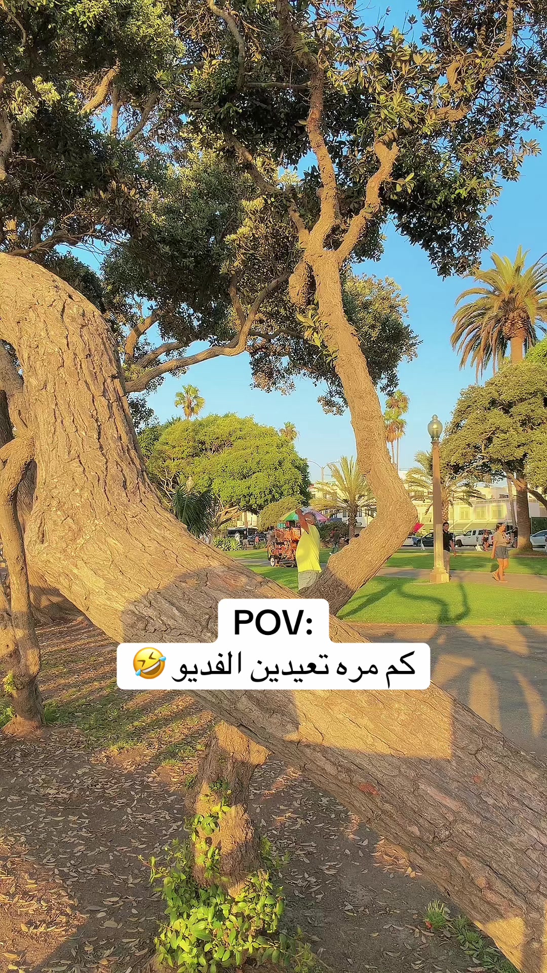 @زينة العبيدي