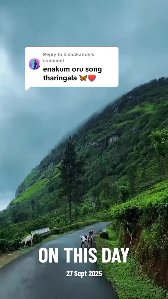 @Suji 👍👍👍👍👍👍👍👍