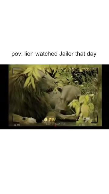 @Jot1997
