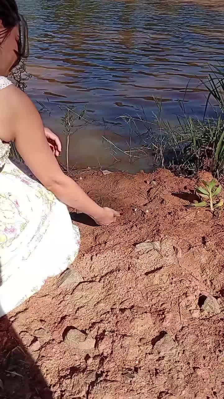 @Suellen Nunes