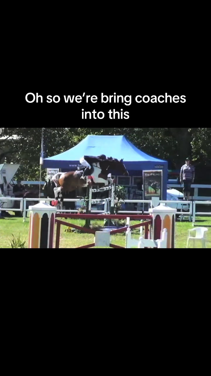 @rubi_andthe3iconicponies
