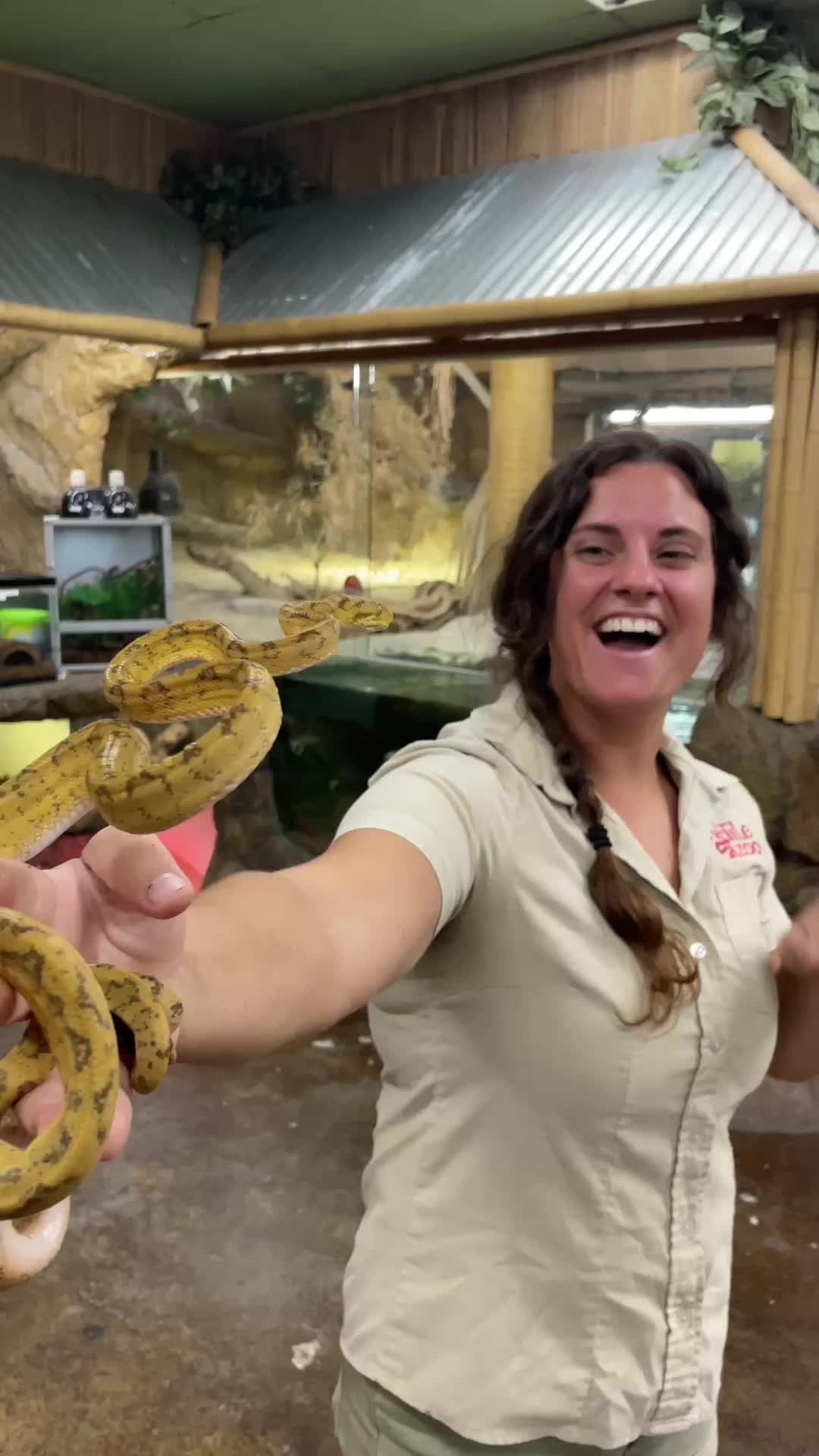 @The Reptile Zoo