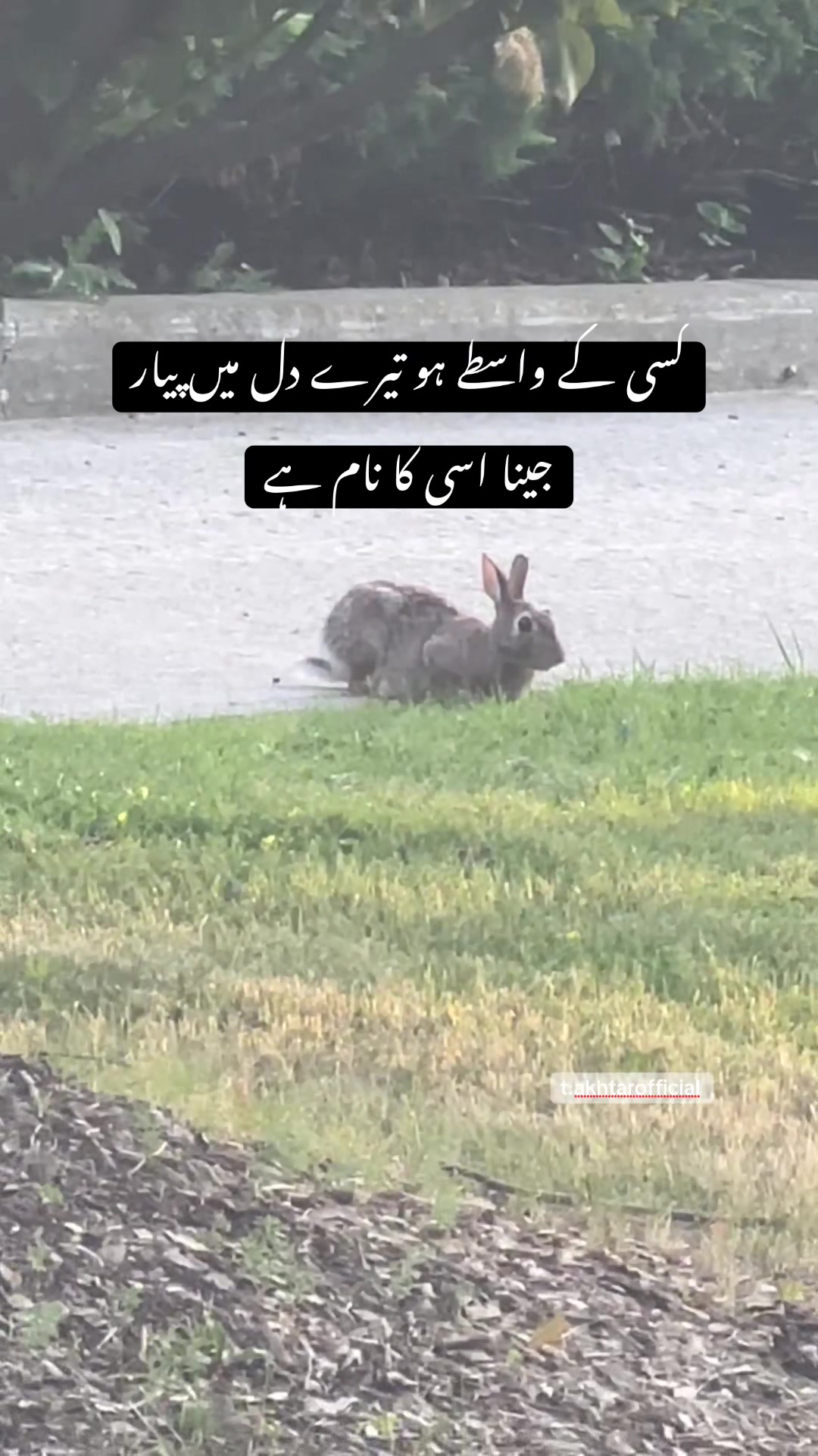 @T.Akhtar Official