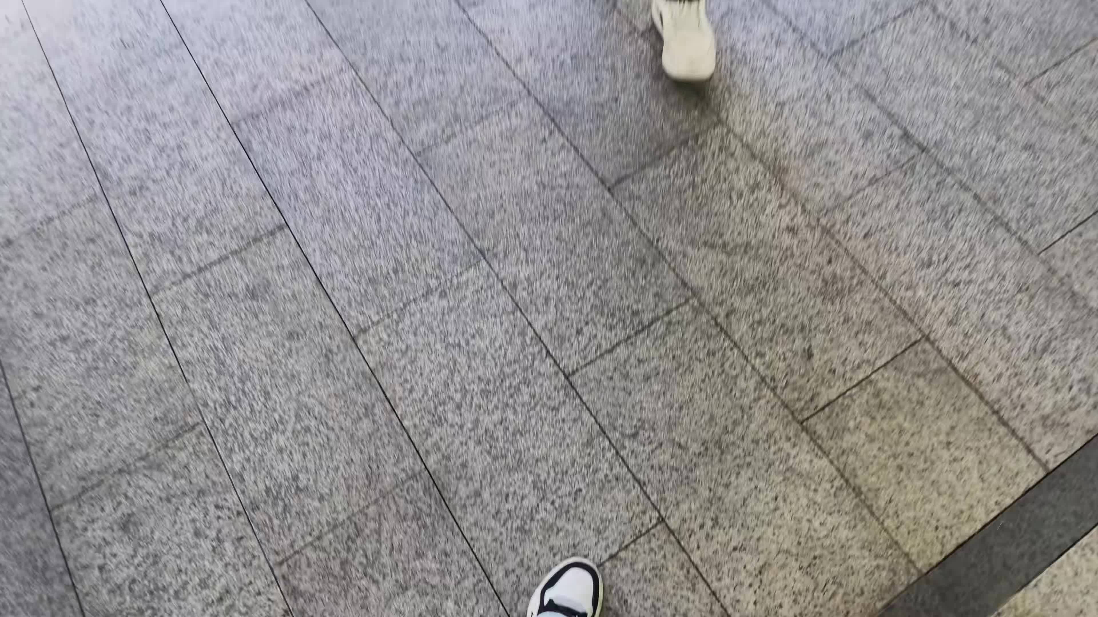 @秦始皇