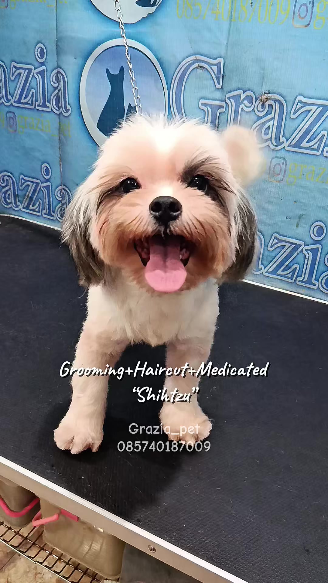 @Grazia Grooming Salatiga