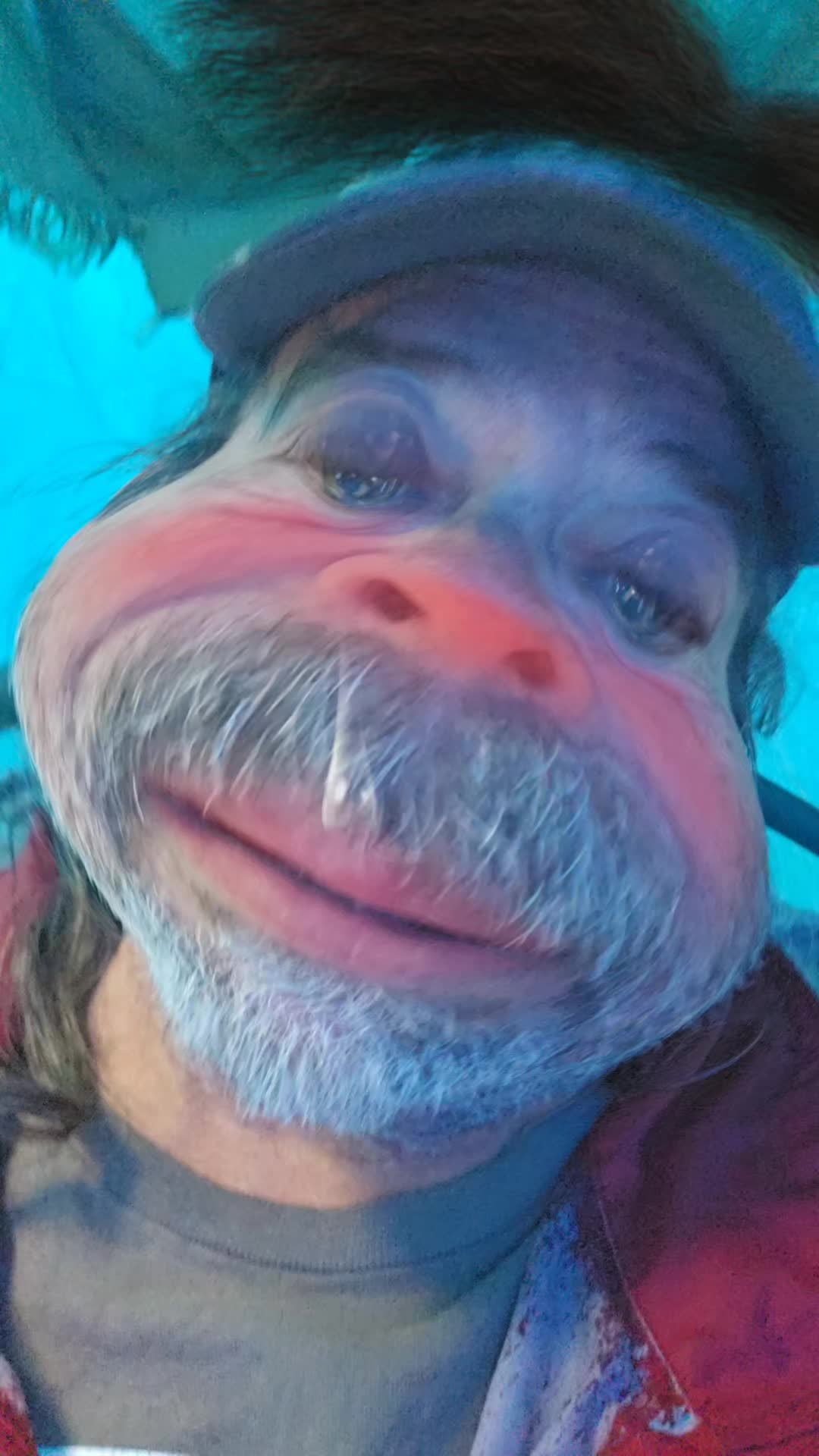 @jmarshall469