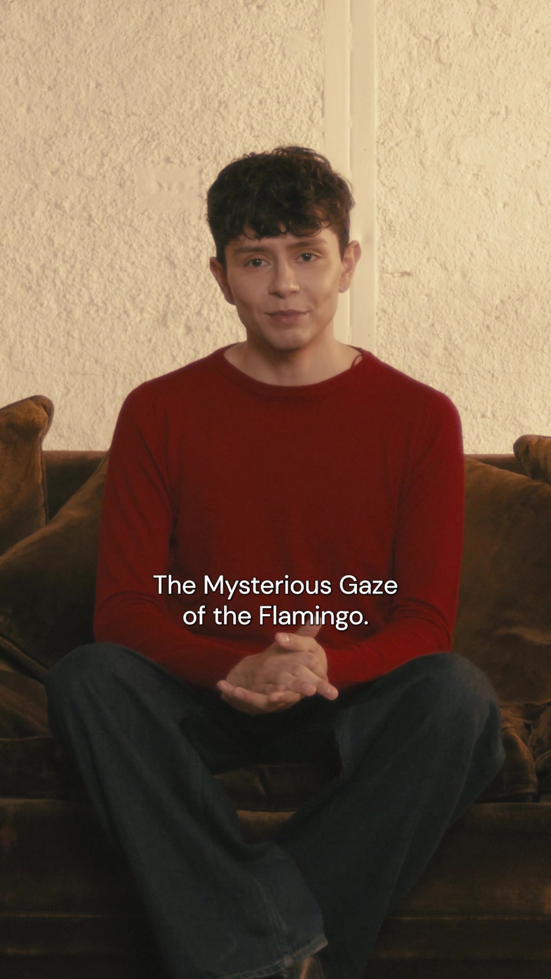 @MUBI