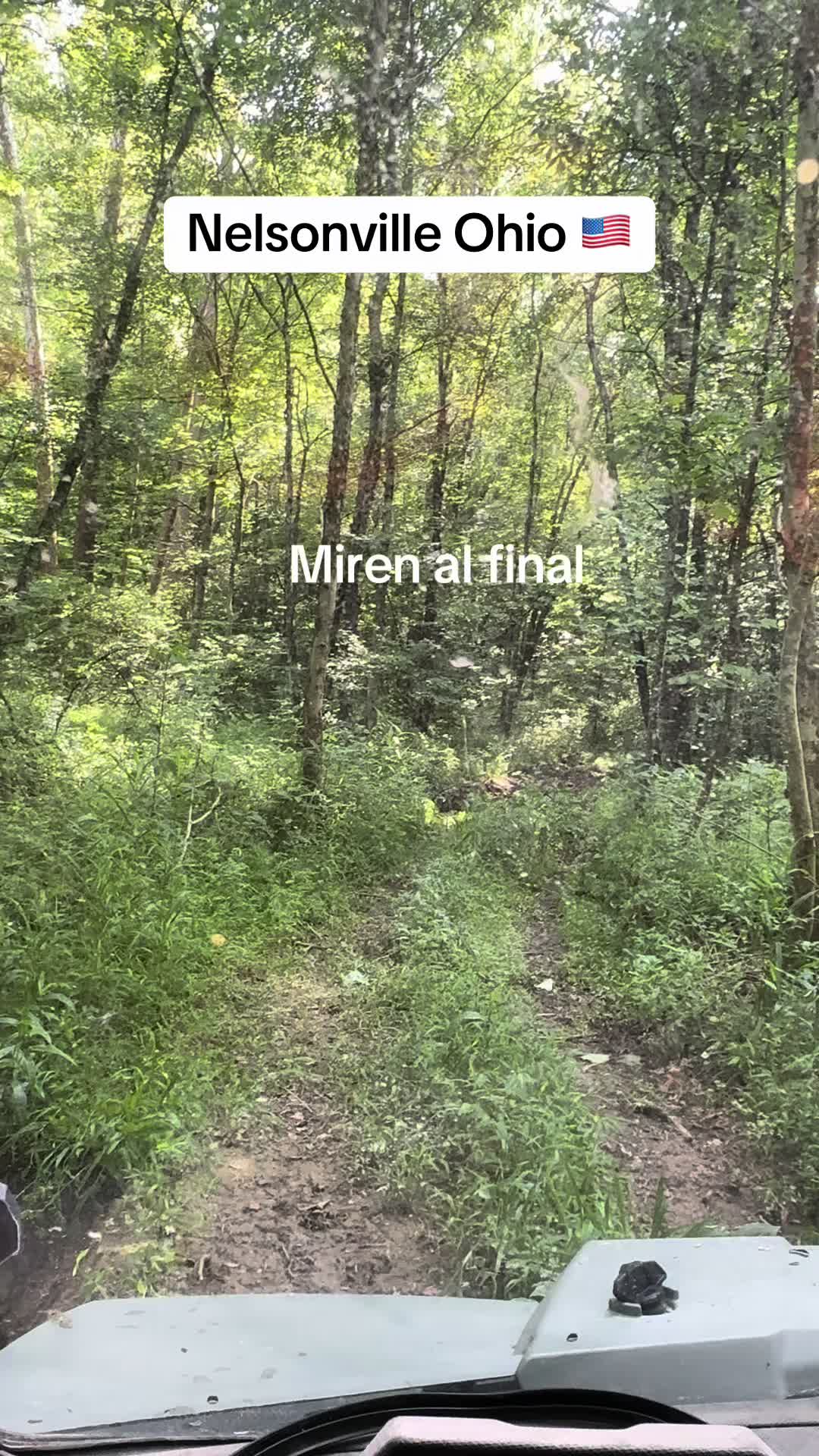 @Carlos GT Videos 🛣️🧗🌲