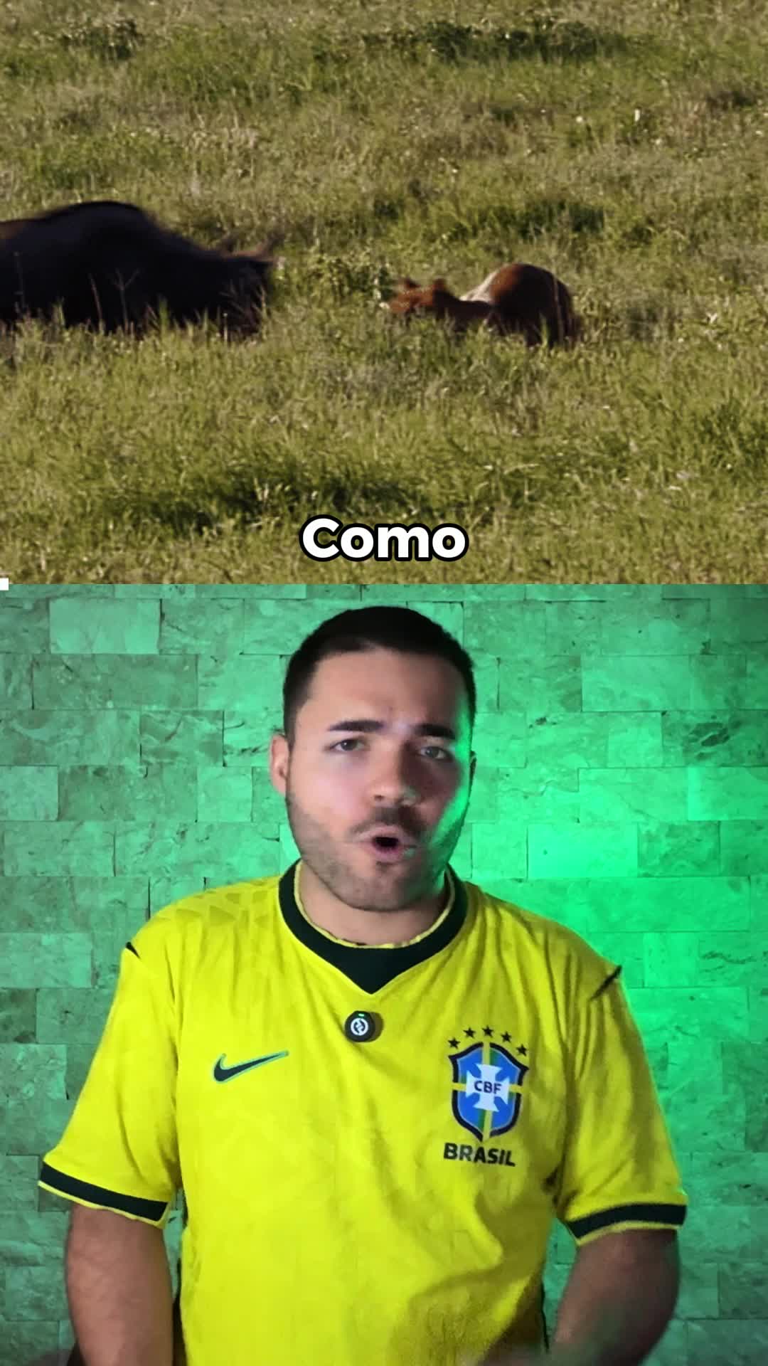 @Danielaugustobr