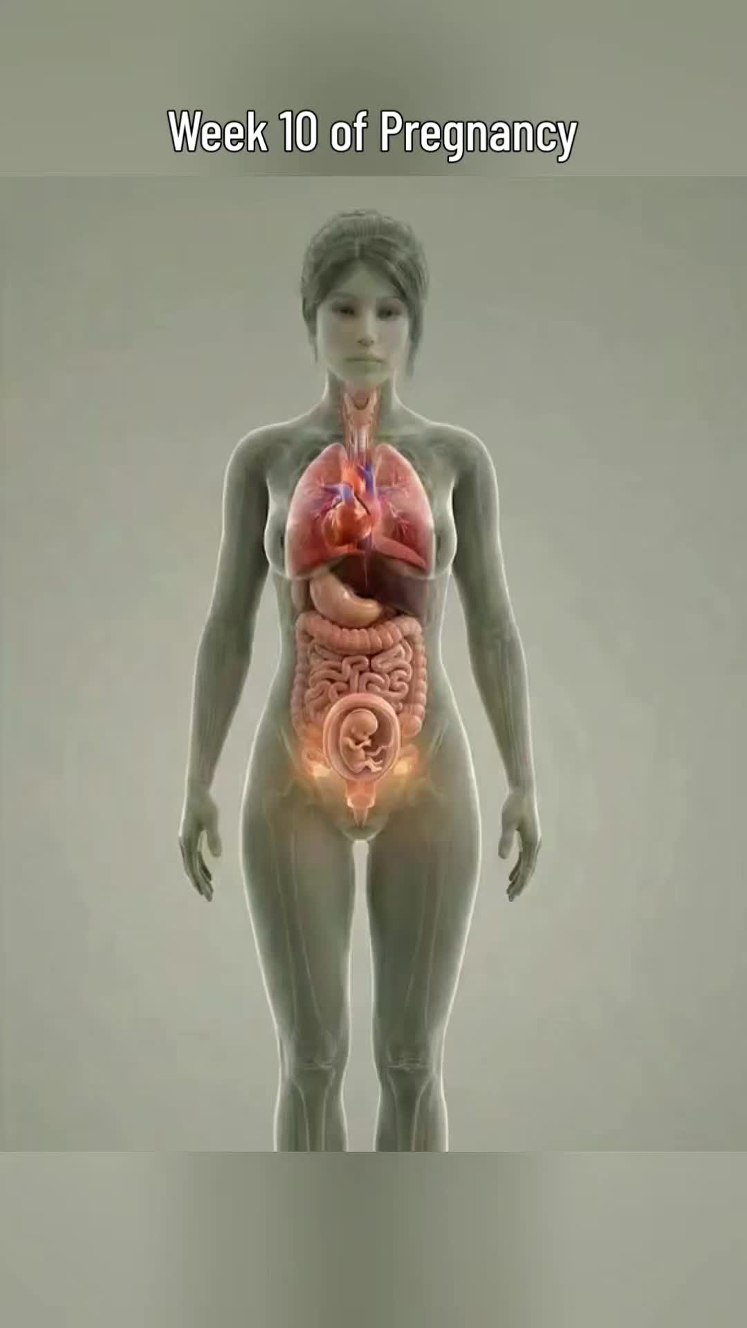 @Secret Body AI