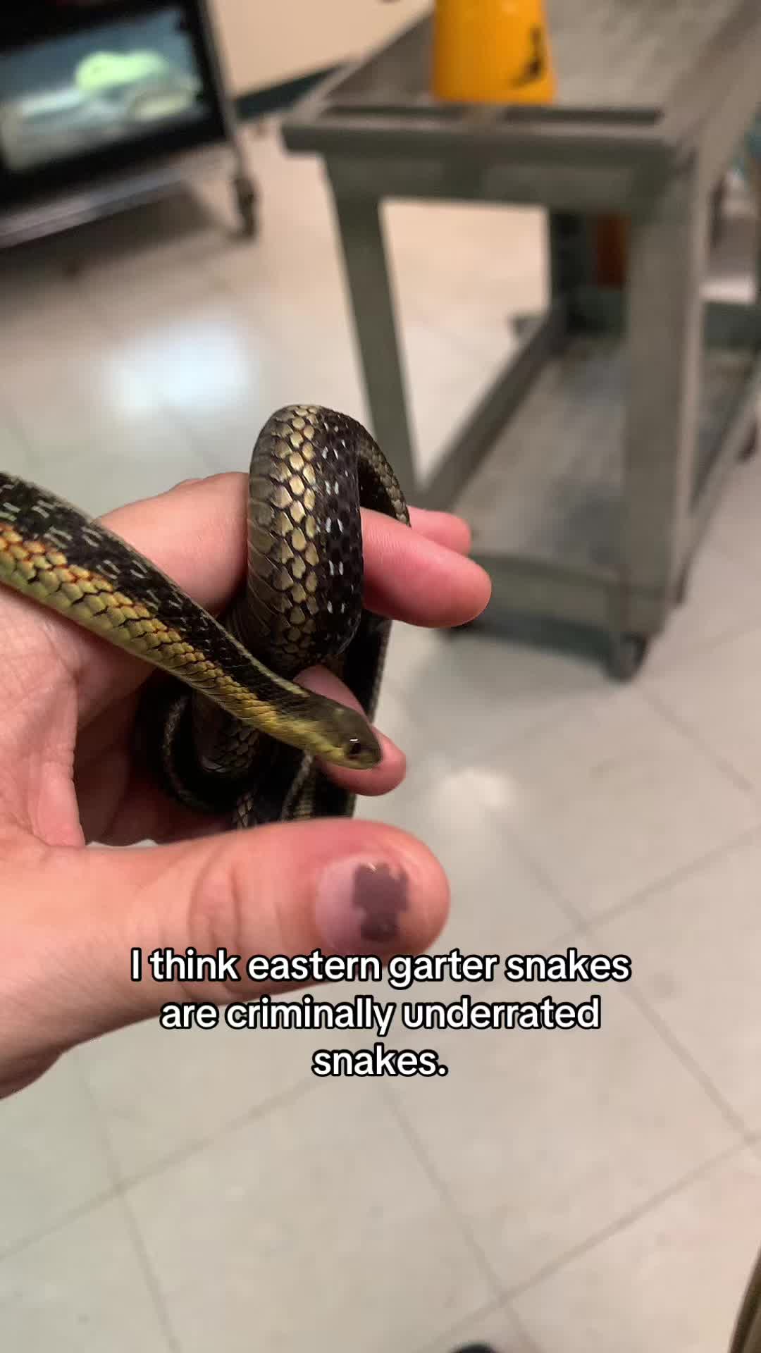 @Kai