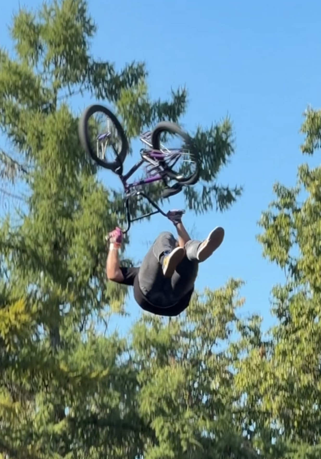 @isokolovbmx