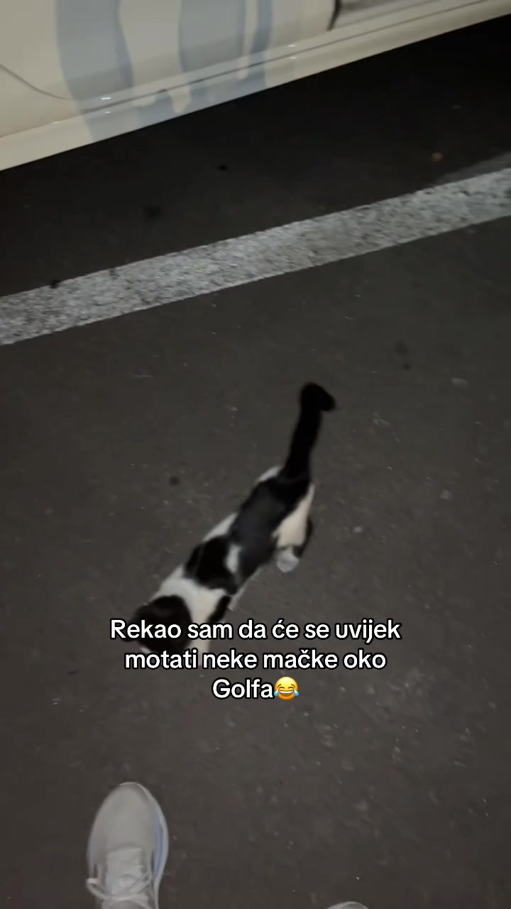 @Džasko