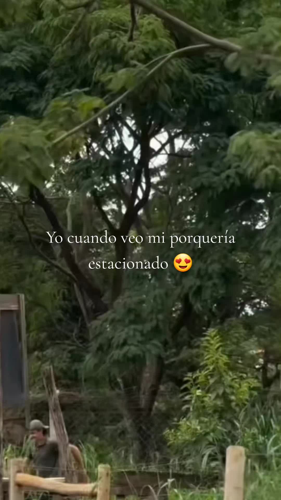 @Nancy Gonzalez🍀