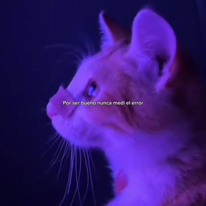 @𝒪𝓳𝓮𝓭𝓪𝓻𝓲𝓸