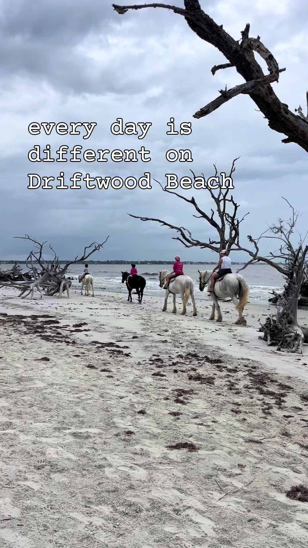 @Jekyll Island Nature Girl