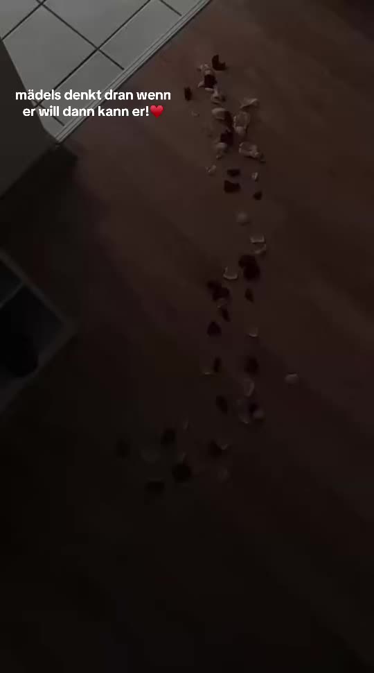 @๐๐๐๐ถ-๐๐๐
๐ฝ๐พ๐๐ฆญ