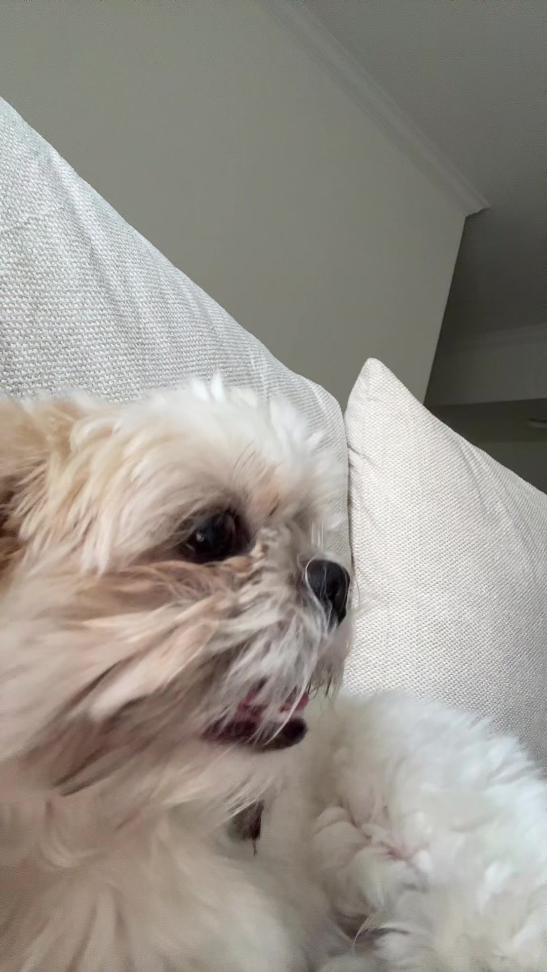 @๐