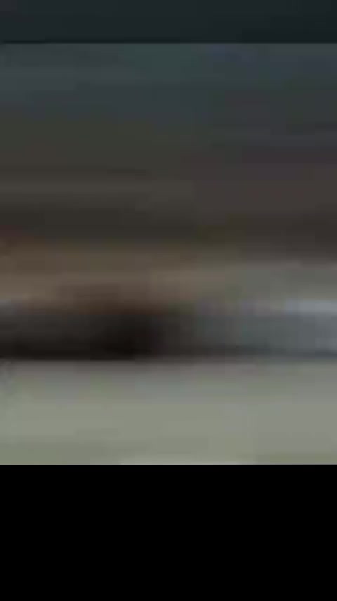 @غازي الديج