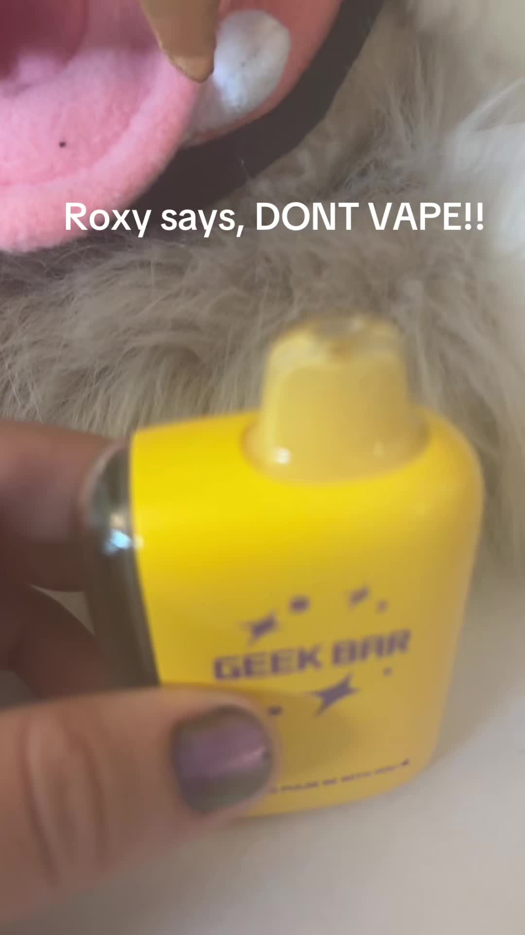 @roxy_soup