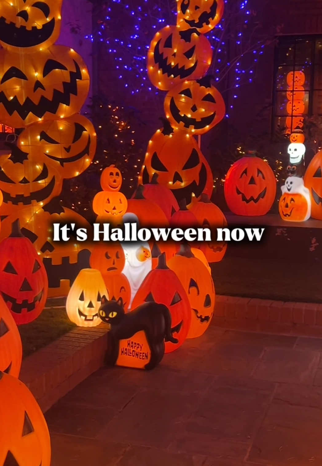 @Halloween Queens