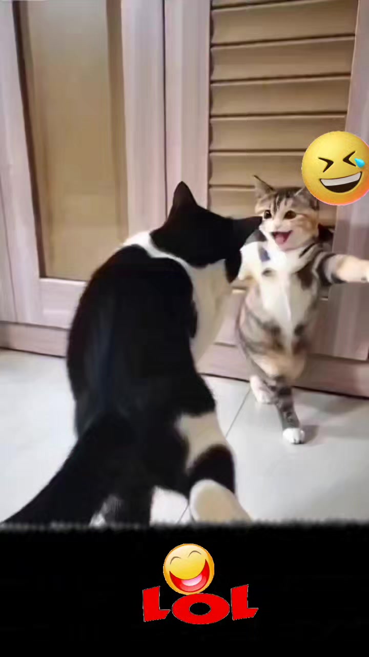 @شهرت
