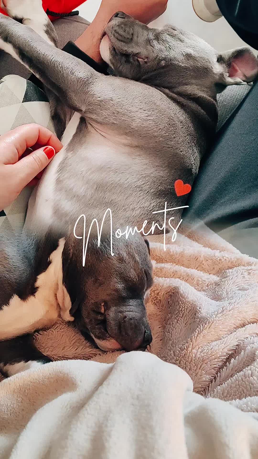@Asko amstaff