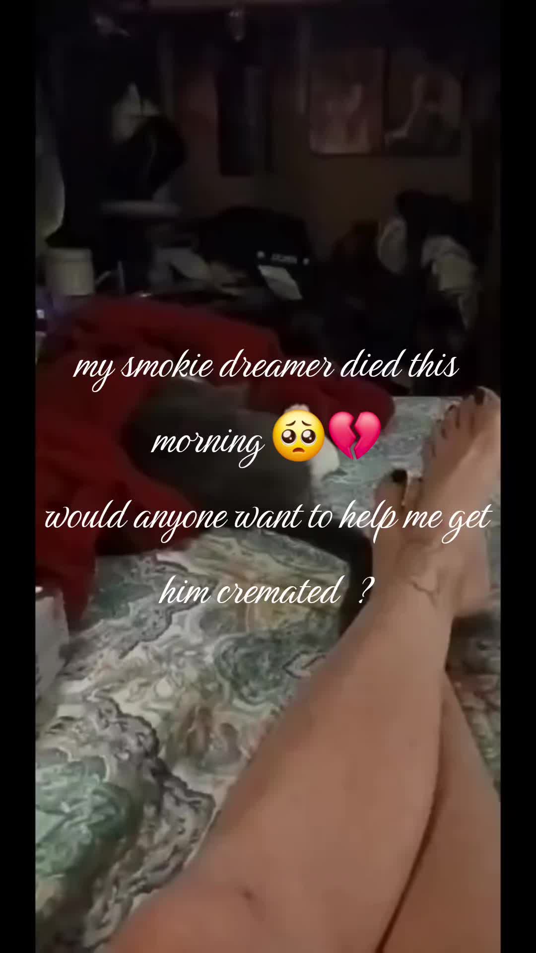 @Regena Gallaghan