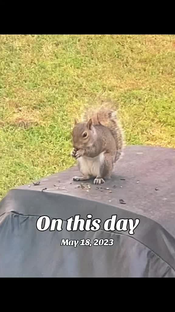 @✨ 𝓝𝓸𝓷𝔂𝓪 ✨