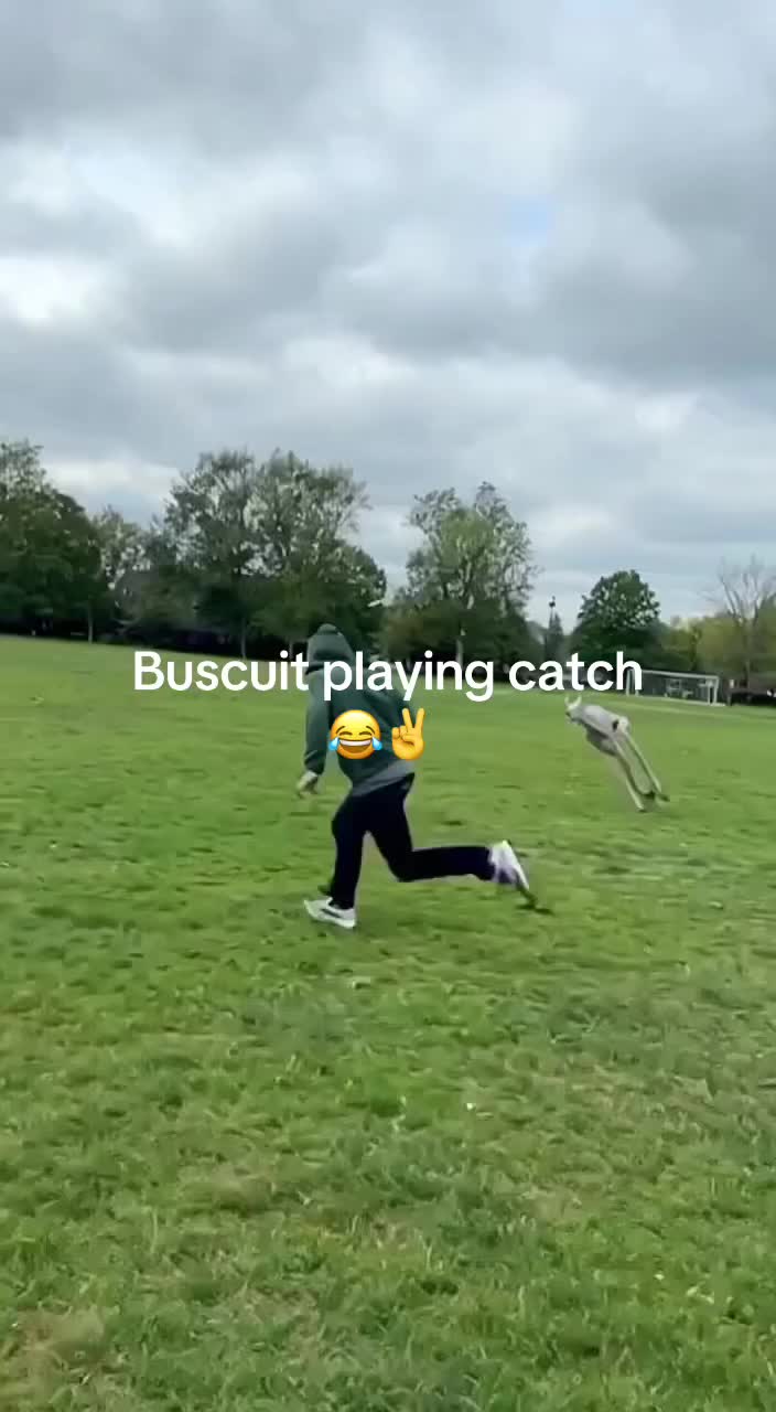@Zisc