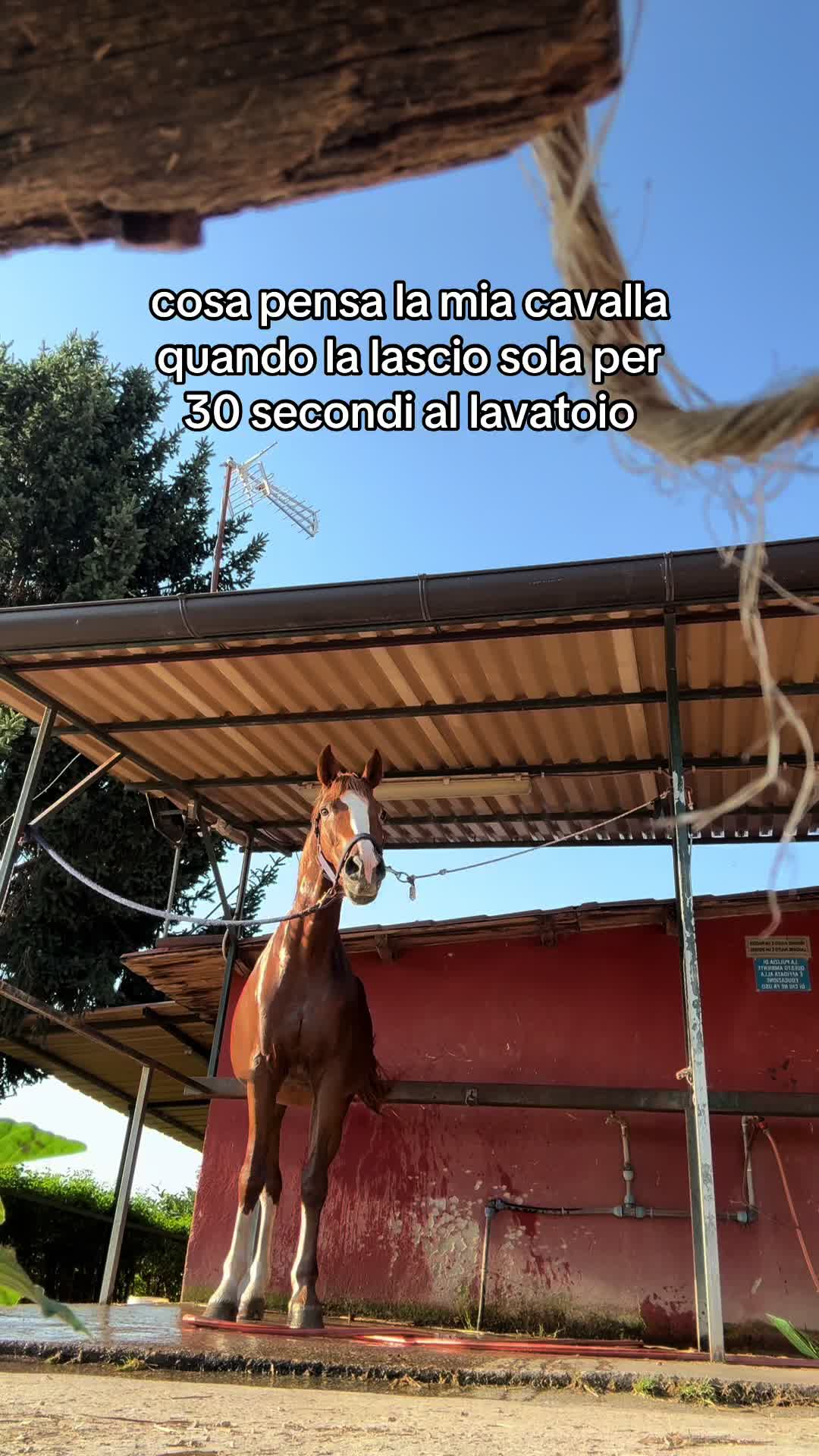 @๐๐