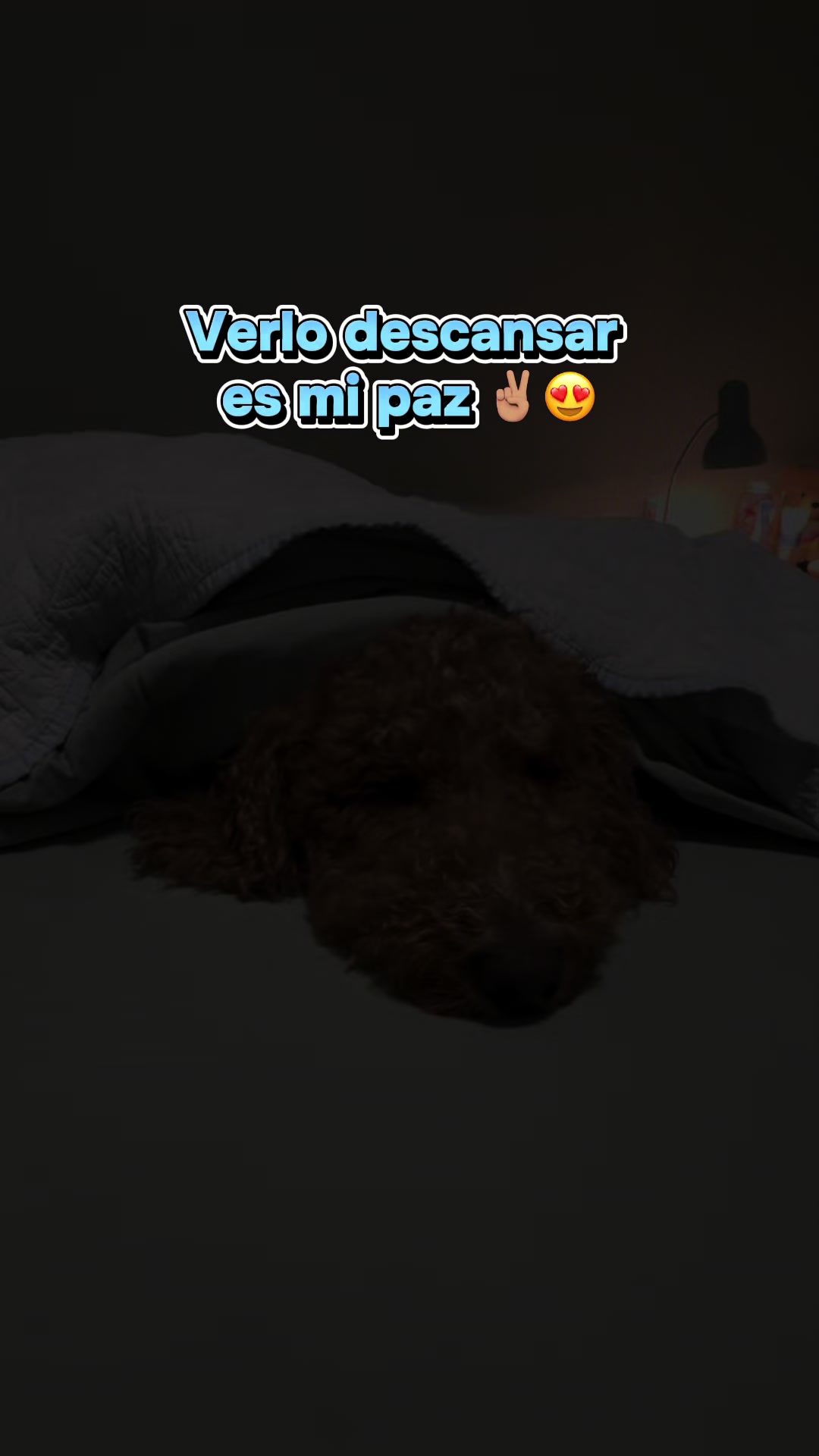 @Reyna y Churro 🐶😍