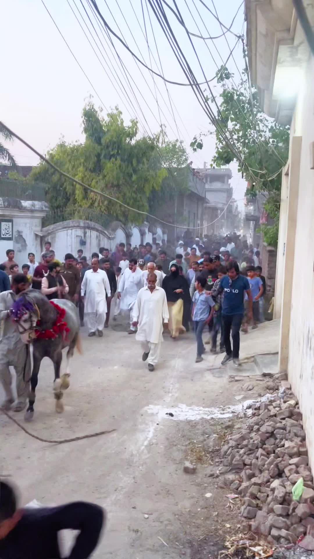 @Syeda Nosheen iftikhar. MNA✅