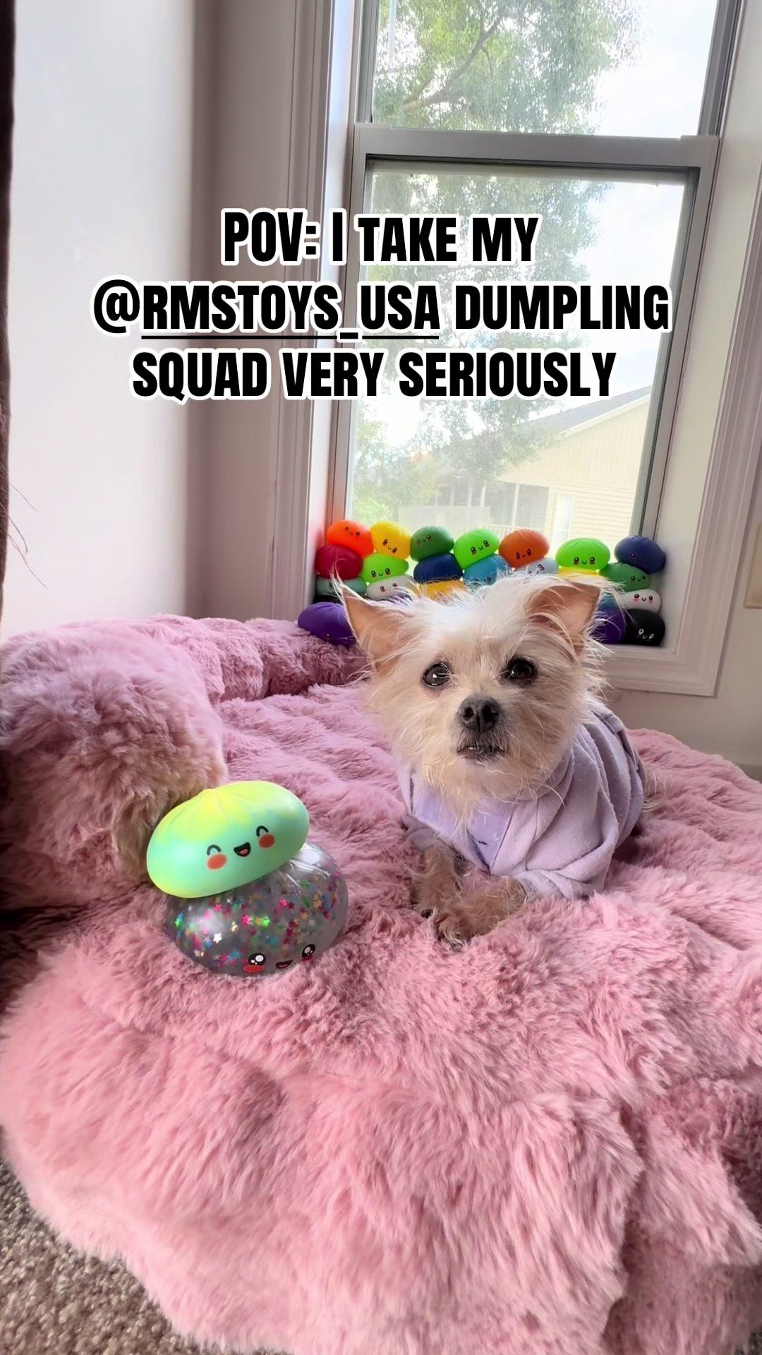 @Gillette the Puppy