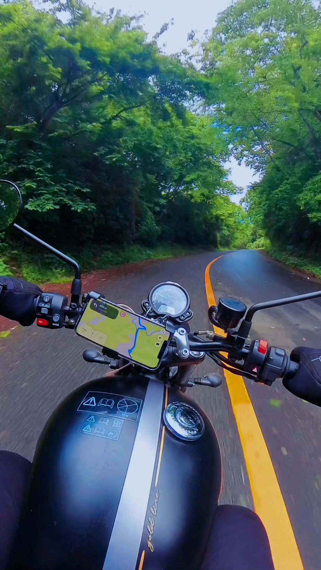 @Triumph_rider