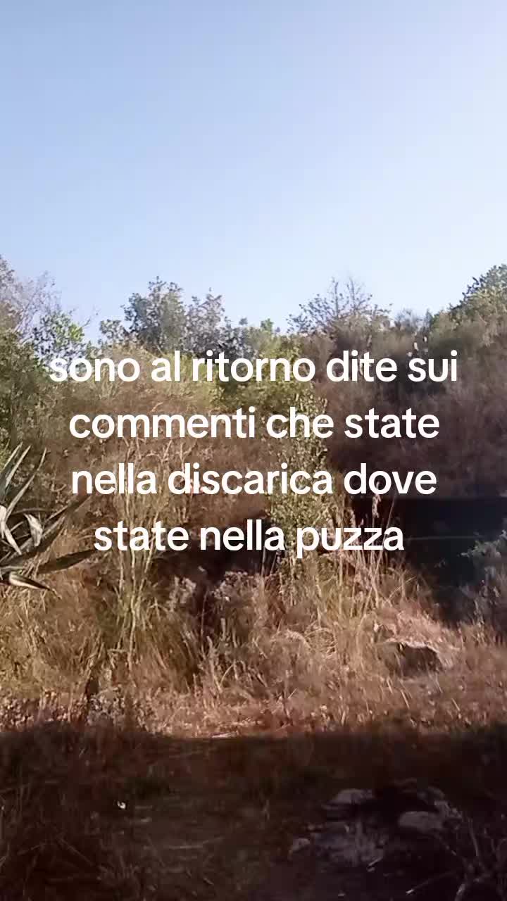 @Gesù nazzareno